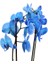 Phalaenopsis Magic Blue Orkide -70CM- Mavi Renkli Çift Dallı Ithal Ofis Ev Dekoru Hediyesi 2