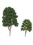 20XMODEL Ağaçları N Ölçer Düzenleri Demiryolu Bahçe Forest Diorama Manzarası 1: 150 (Yurt Dışından) 3