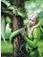 1000 Parça Anne Stokes Collection Kindred Spirits Puzzle 2