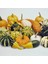 Karışık Süs Kabağı Tohumu Cucurbita P. Mix (10 Adet) 1