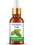 Fesleğen Yağı 10 ml 1