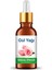 Gül Yağı 20 ml 1