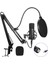 Dizüstü Bilgisayar İçin Kondenser Mikrofon Pc Stüdyo Kayıt Podcasting (Yurt Dışından) 5
