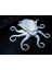 Yodapus Octopus Yoda Octoyoda Plastic Apparatus 3