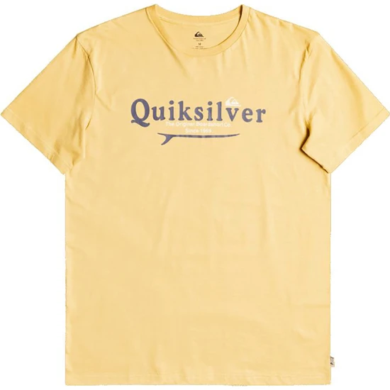 Quiksilver Silver Lining Erkek T-shirt EQYZT06711
