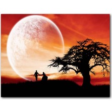 Cakatablo Yalnız Ağaç, Yeni Evli Çift ve Süper Ay