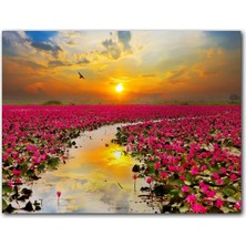 Cakatablo Günbatımında Gölde Pembe Çiçekler
