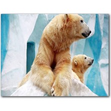 Cakatablo Buzdağı Önündeki Kutup Ayıları