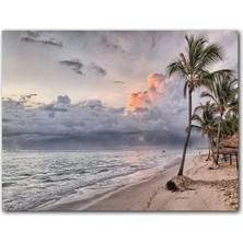 Cakatablo Gündoğumu Issız Kumsal Palmiyeler ve Bulutlar