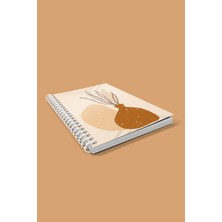 Co Notes  3'lü Spiralli Kareli Defter Seti A5 (15X21CM)