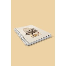 Co Notes  3'lü Spiralli Kareli Defter Seti A5 (15X21CM)