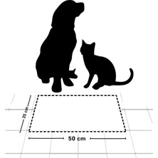 Water Food Kedi Köpek Mektup Temalı Dijital Baskılı 35X50 Dekoratif Çok Amaçlı Mama Altlığı Mama Paspası