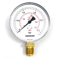 Pakkens Manometre Nw 100 Alt Bağlantılı 1 Bar