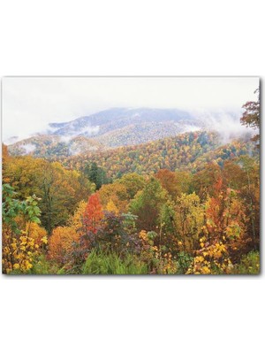 Cakatablo Appalachian Dağlarında Sonbahar Renkleri