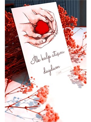 Cici Hamile Anı Kartı Gebelik Haftalık Fotoğraf Çekim Kartları Hediye 24'lü