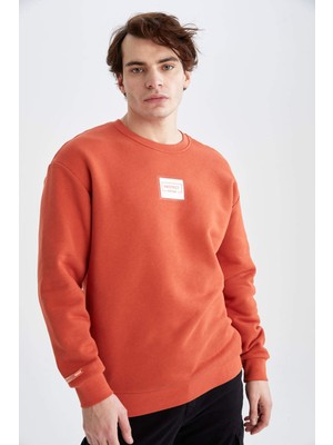 DeFacto Boxy Fit Bisiklet Yaka Baskılı Sweatshirt W5896AZ22SP