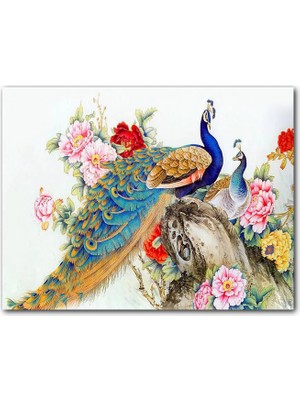 Cakatablo Çift Tavuskuşiar Sanatsal Görsel