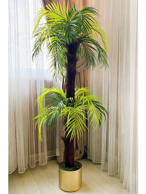 Hediye Vitrini Palmiye Ağacı Bronz Saksı Da Life Sarılı 2 Katlı Areka 130CM