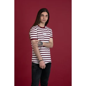 Slimfit Çizgili Sıfır Yaka Erkek Penye T-Shirt
