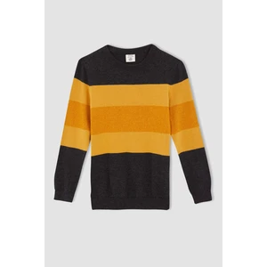 Erkek Çocuk Regular Fit Bisiklet Yaka Renk Bloklu Pamuklu Kazak U5192A621WN