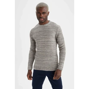 Regular Fit Bisiklet Yaka Triko Kazak N9902AZ20WN