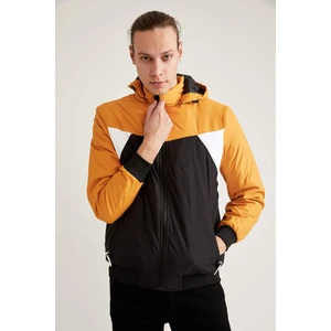 Defacto Blok Desenli Slim Fit Kapüşonlu Mont T1028AZ21SP
