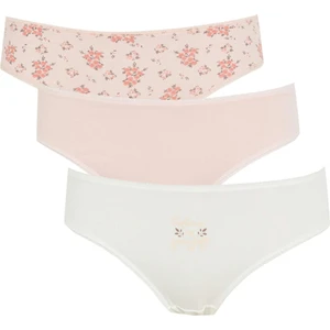 Fall İn Love 3'lü Desenli Pamuklu Slip Külot W6650AZ22SP