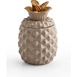 Home Pineapple Vizon Obje