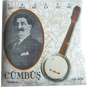 Avarez AS-300 Cümbüş Teli Takım Orjinal