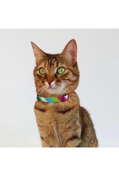 Stylie Gökkuşağı Kedi Tasması, Boğulma Önleyici Güvenli Klips