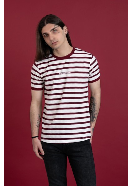 Slimfit Çizgili Sıfır Yaka Erkek Penye T-Shirt fiyatları