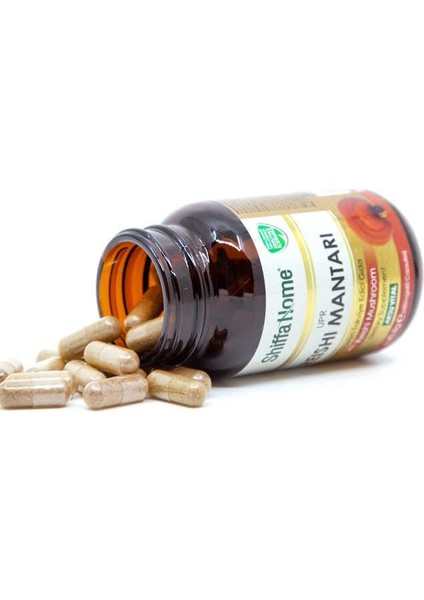 Reishi Mantarı (Upr) 60 Kapsül & 680 MG