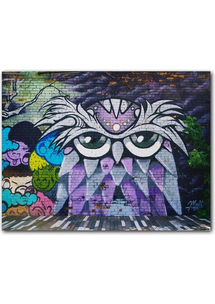Cakatablo Grafiti Sokak Sanatı Baykuş Görseli