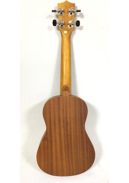 AU006L-23 Ukulele 23 Concert fiyatları