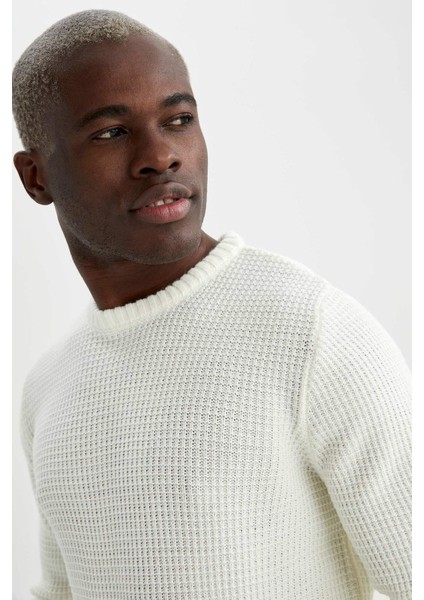 Regular Fit Bisiklet Yaka Triko Kazak N9902AZ21WN fırsatları