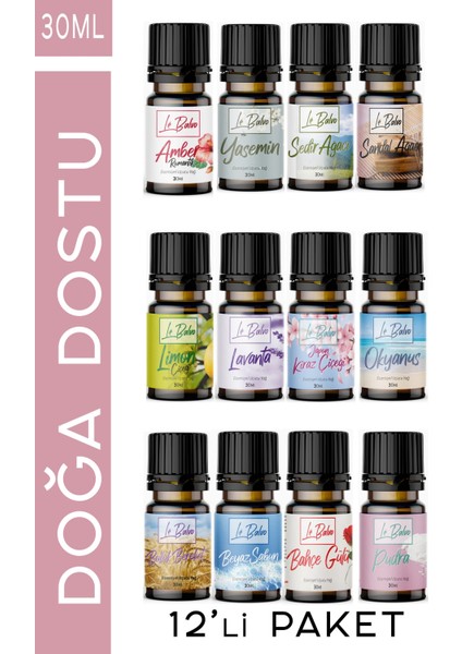 12'li Set Uçucu Yağ Buhurdanlık Esansı Oda Kokusu Esansiyel Yağ Oda Difüzörü Esansı Buhur Yağı 30ML