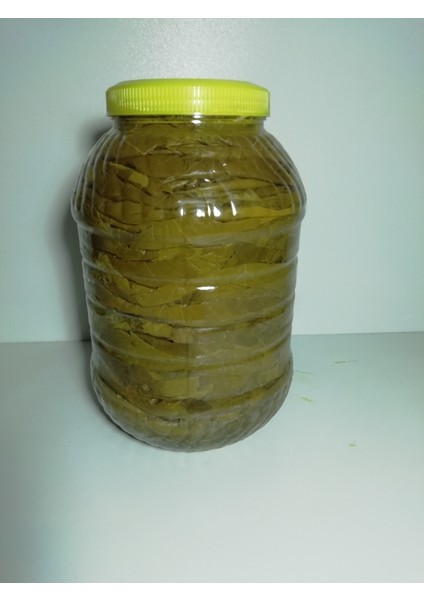 TOKAT HAKİKİ BAĞ YAPRAĞI-DAMARSIZ 5KG LIK BİDON fırsatları