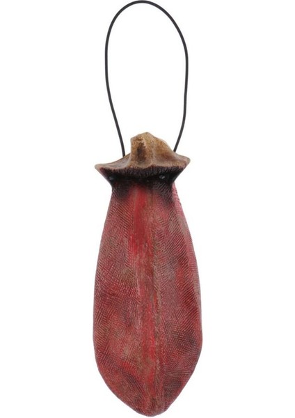 Cadılar Bayramı Asılı Süslemeler, Dil Korkunç Perili Ev Festivali Süslemeleri Tonge 26X11.5 cm
