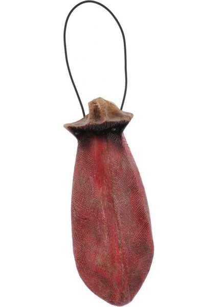 Cadılar Bayramı Asılı Süslemeler, Dil Korkunç Perili Ev Festivali Süslemeleri Tonge 26X11.5 cm indirimleri
