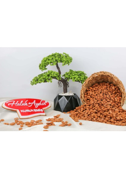 Çiğ Kayısı Çekirdeği 500 gr