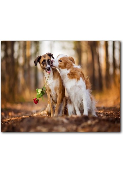 Cakatablo Kahverengi Beyaz Aşık Köpekler