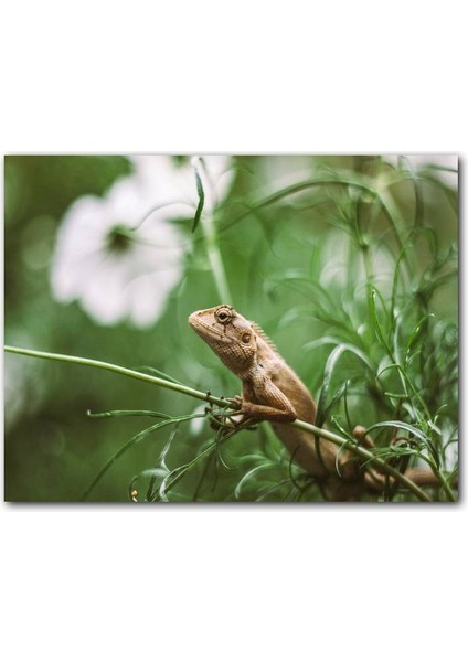 Cakatablo Yeşil Dallar Arasındaki Iguana Flu Arkaplan