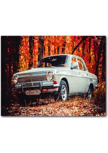 Cakatablo Otomobil Sonbahar Yaprakları Ağaçlar