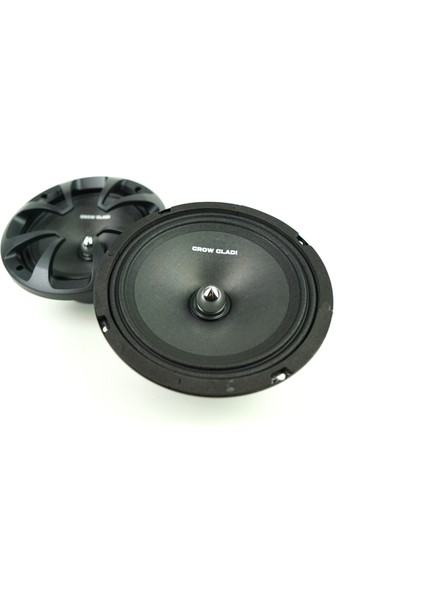 16CM Midrange