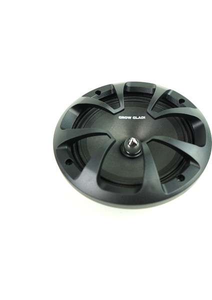 16CM Midrange