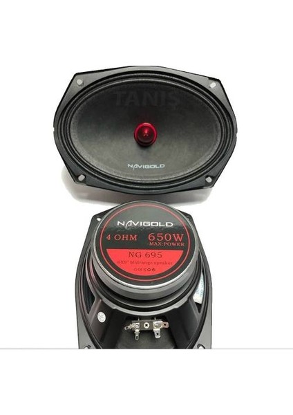 NG-695 650 Watt 6x9 Oval Midrange Oto Hoparlör