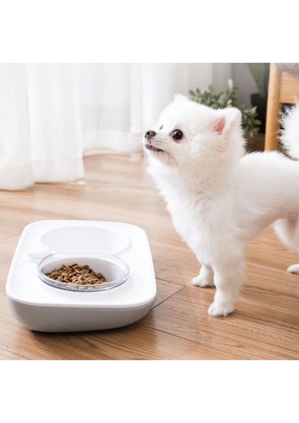Sevimli 2 In 1 Kase Köpek Kedi Için Pet Kase Pet Yavru Yavru Yemek Gıda Su Kaseleri Anti Atlama Yiyecek Içecek Su Besleyicisi | Kedi Besleme Ve;sulama Malzemeleri (Yurt Dışından)