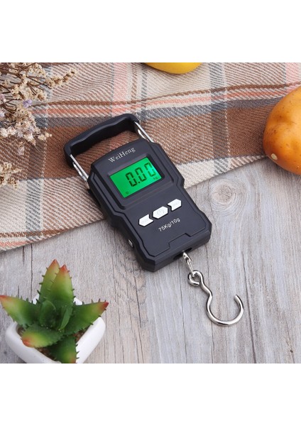 75 kg / 10G Elektronik Ayak Tartım Ölçeği Taşınabilir Dijital Balıkçılık Posta Asılı Kanca Ölçeği Ölçüm Teyp | Tartı Ölçekleri (Yurt Dışından)