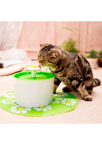 Otomatik Kedi Su Çeşmesi 1.6l Elektrikli Su Köpek Kedi Pet Drinker Kase Pet Kedi Içme Çeşmesi Dağıtıcı | Köpek Besleme (Yurt Dışından)
