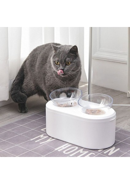 Pet Çift Kase Kedi Köpek Şeffaf Kaymaz Gıda Kase Koruma ile Servikal Şeffaf Yüksek Kalite | Kedi Besleme ve sulama Malzemeleri (Yurt Dışından)